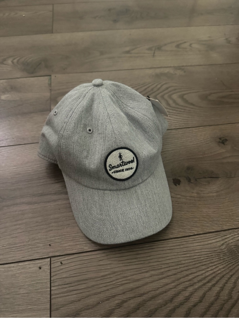 Smartwool Logo Men's Grey Baseball Cap NWT